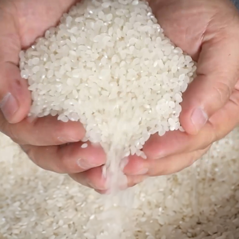 GOINDOL White Rice (Japonica, Short-Grain Type)